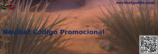 Obtén tu Código Novibet